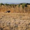 Αγωνες Α.Κ.Ι 18/6/2017